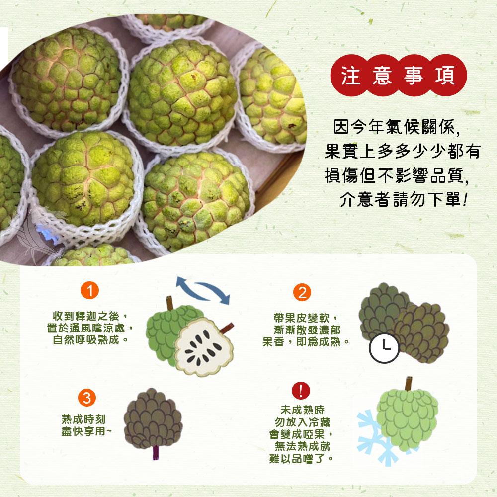  【禾鴻】台東優質大目釋迦5斤／10斤 林檎 番荔枝 水果
