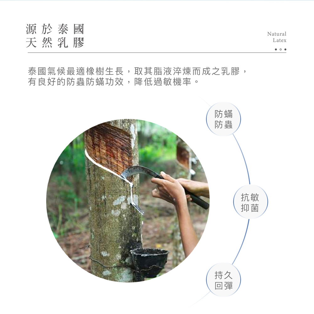 【BEST】石墨稀泰國天然乳膠枕 送3M枕套 人體工學護頸枕 顆粒按摩枕