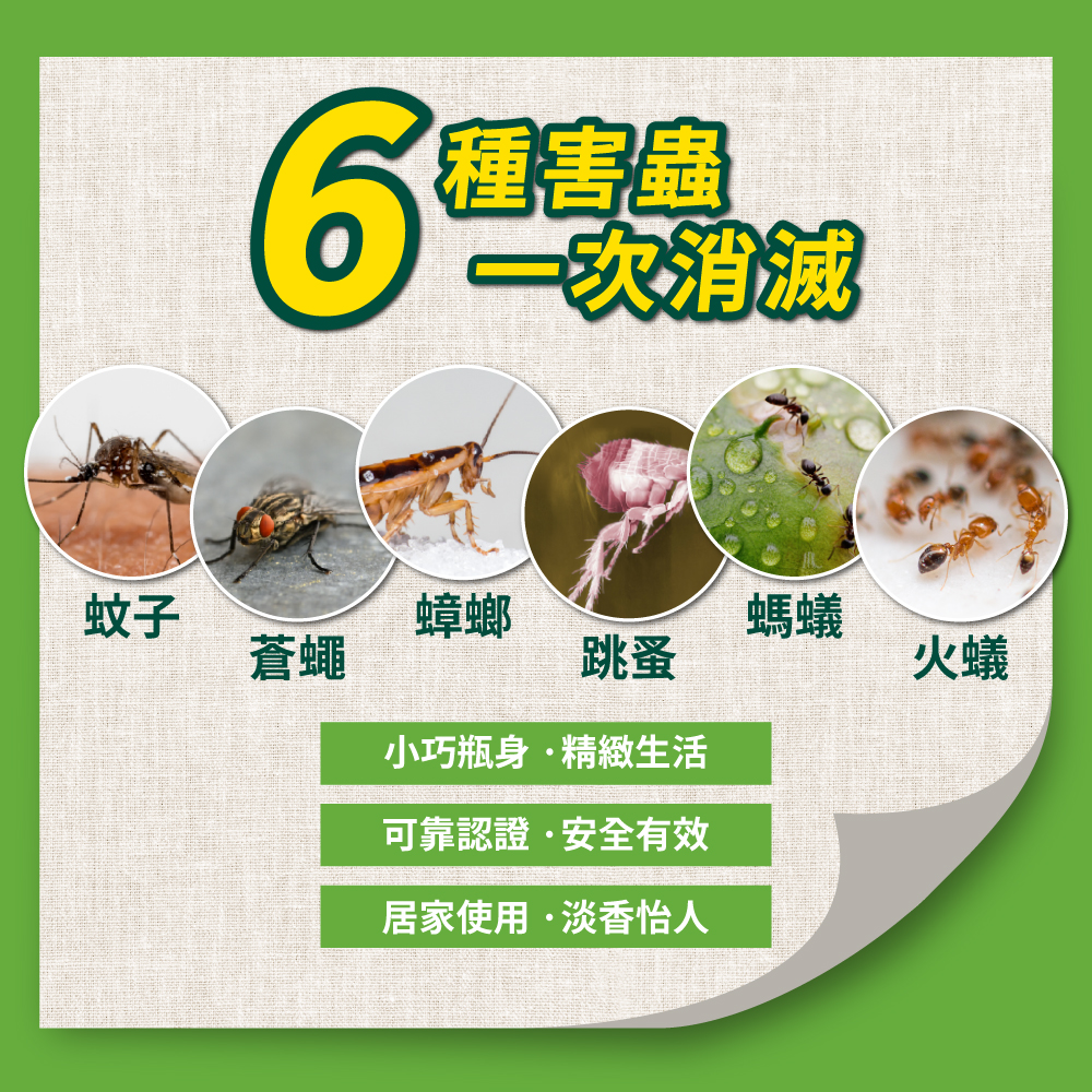 【鱷魚】不快害蟲除蟲劑300ml-雛菊淡香