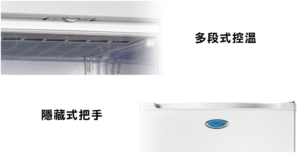 【TECO 東元】95公升單門直立式冷凍櫃 肉品海鮮專用 (RL95SW)