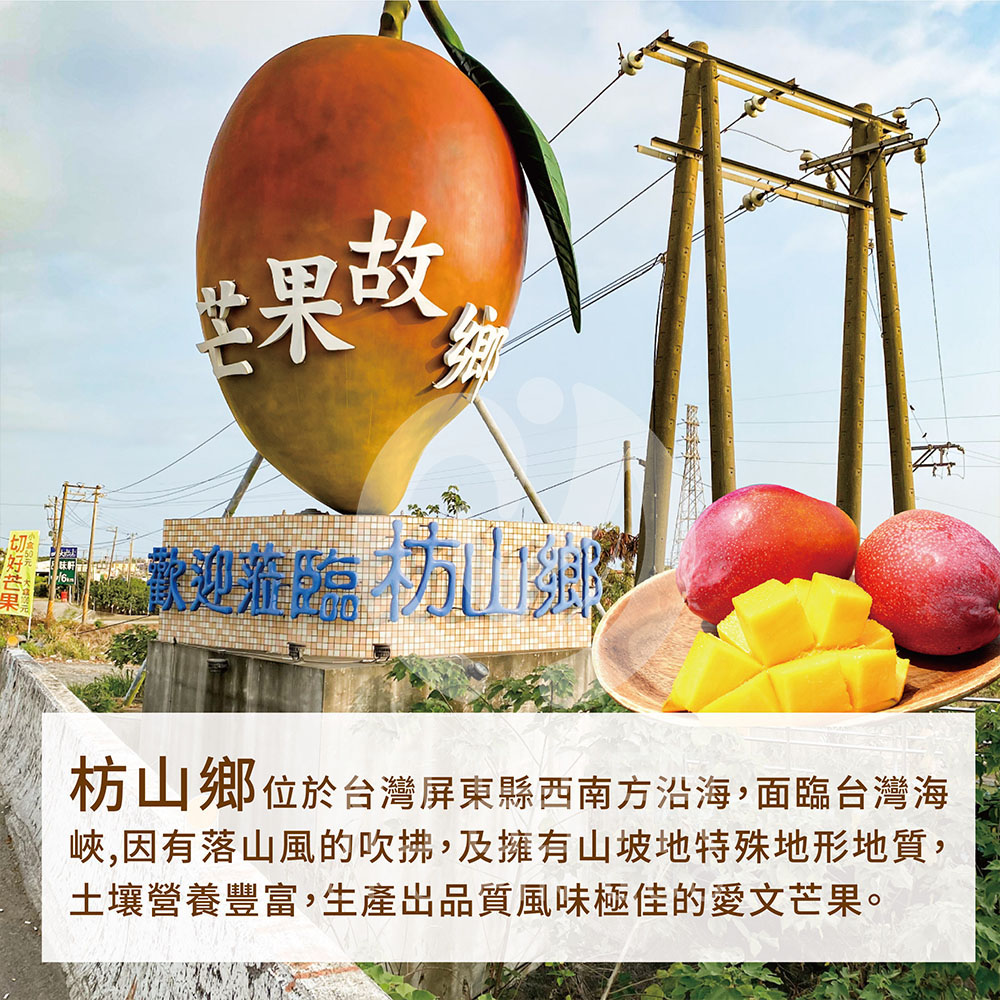 【初品果x山夏】枋山愛文芒果冰淇淋80g 含果率80% 無添加香料防腐劑