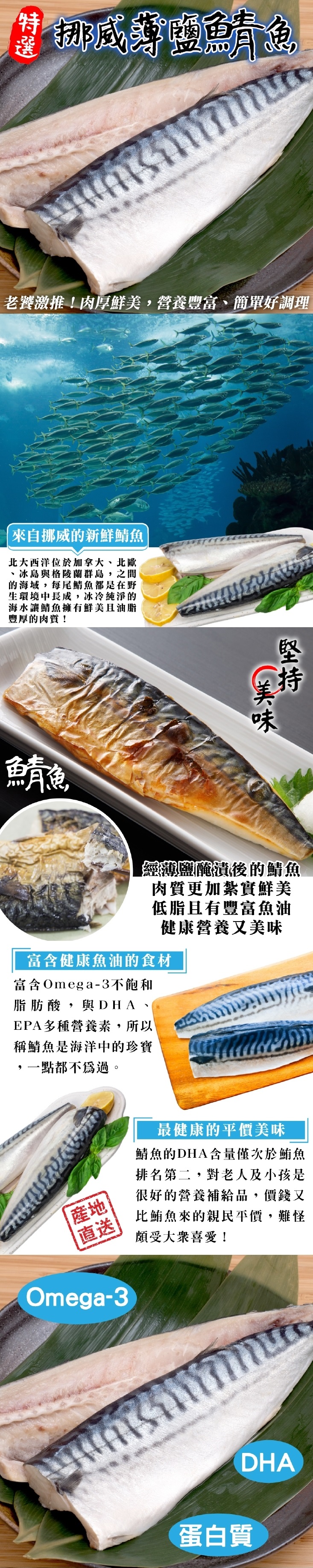       【小川漁屋】野生挪威薄鹽鯖魚20片(80-100G/片純重無紙板)