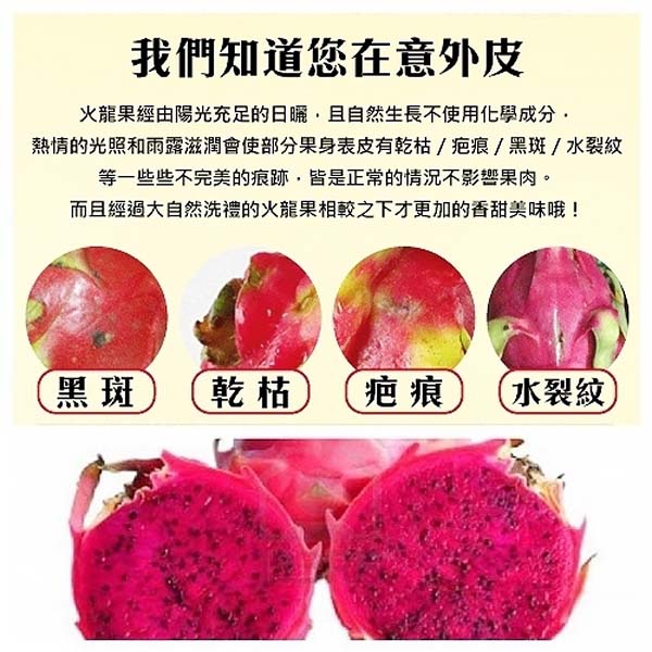       【光合果物】特選鮮甜紅肉火龍果1箱(8-12顆/10斤±10%/箱