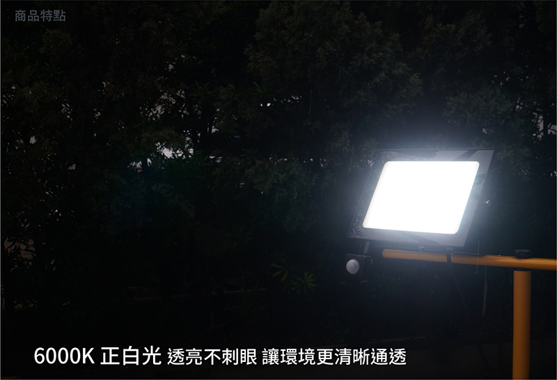 【太星電工】LED感應投射燈(全電壓) 30W-100W 感應燈 照明燈