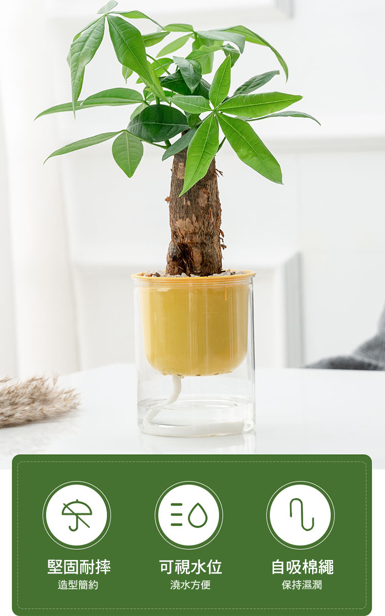【fioJa 費歐家】馬卡龍系列懶人盆栽 觀賞植物 室內植物 自動吸水 創意花盆