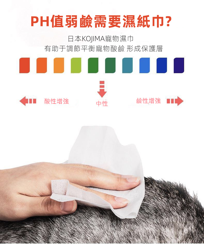 【KOJIMA】日本寵物濕巾 去淚痕濕巾 棉棒 多種任選