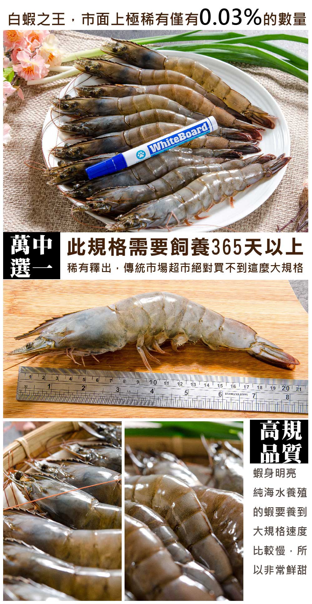 【鮮綠生活】無毒巨無霸金剛大王白蝦600g (每盒約9-11尾)