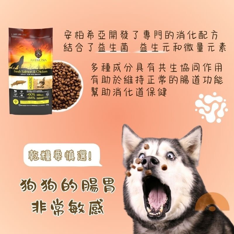 【安柏希雅 Ambrosia】2kg無穀鮮肉犬糧 狗狗飼料 小型犬飼料 寵物飼料