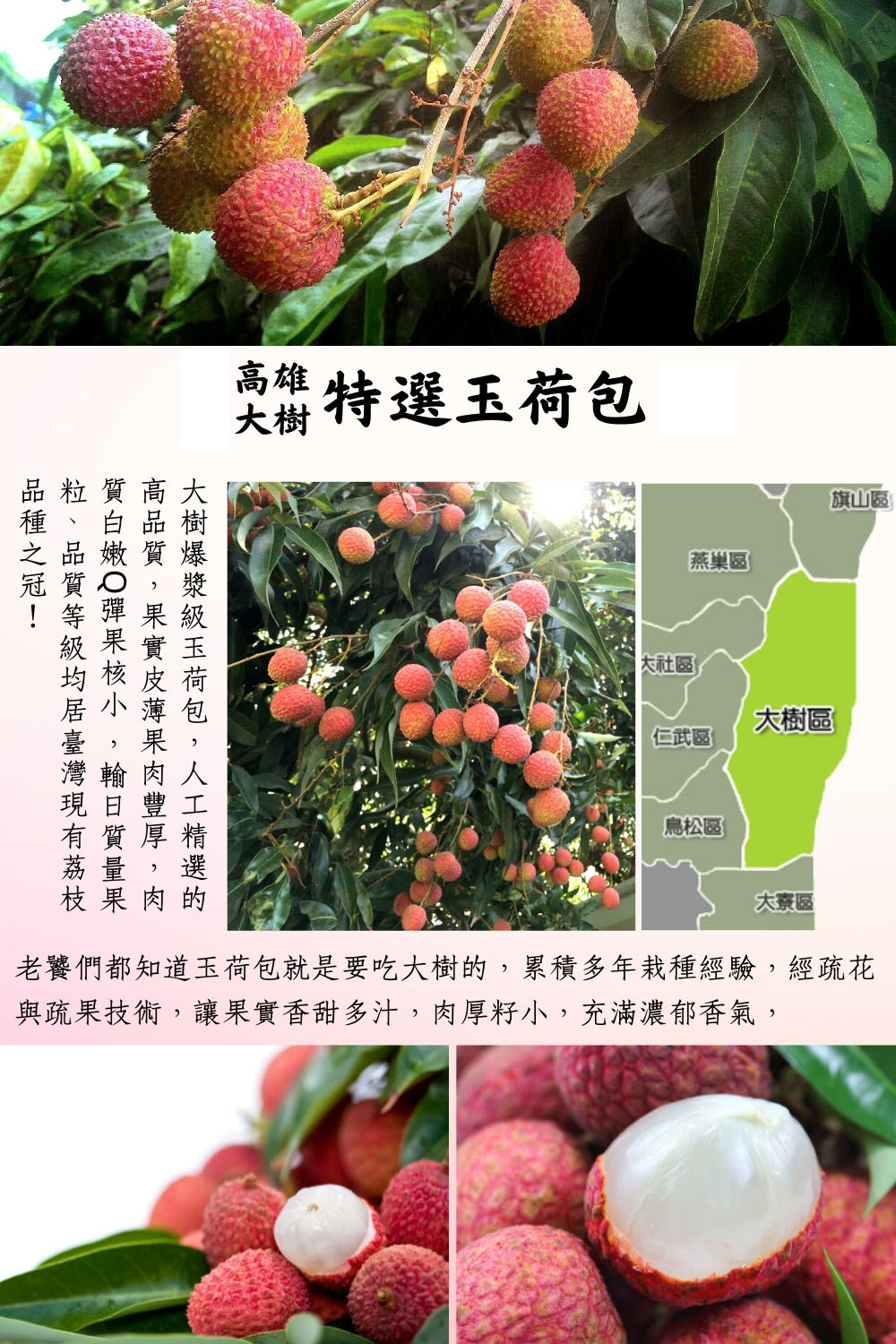 【阿成水果】高雄大樹剪枝玉荷包(5斤/盒) 32mm/36mm 荔枝 - 生活市集