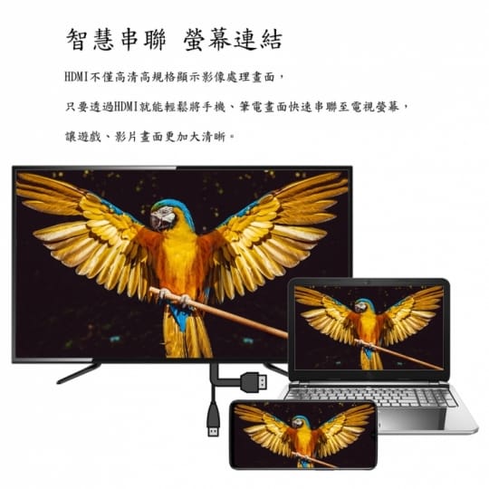 【DigiKing 數位新貴】大視野無邊框32型HD淨藍光液晶顯示器(K-V32