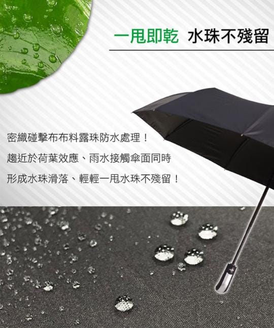 LISAN 105公分全方位自動傘