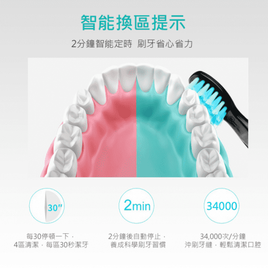 【SAMPO 聲寶】 音波牙刷震動牙刷