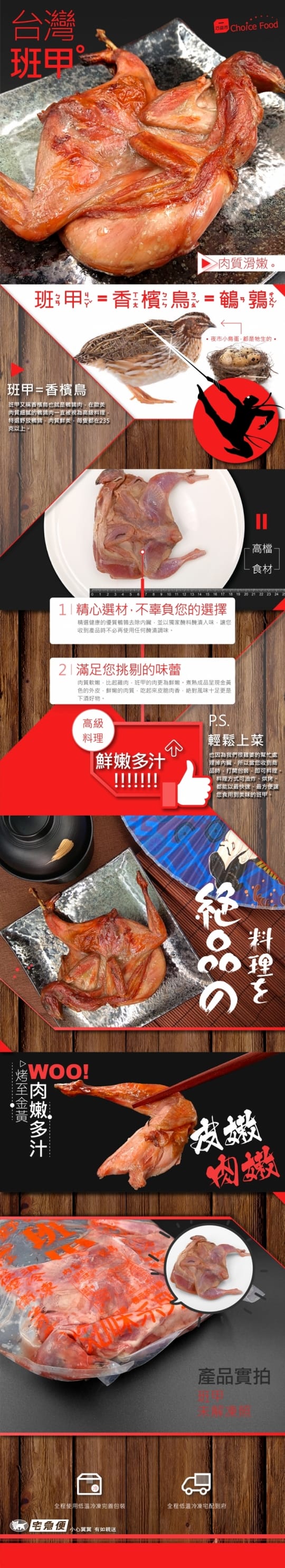 經典班甲 斑鳩 鵪鶉