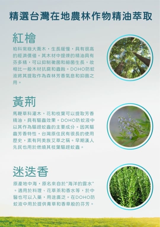 DOHO 森林草本防蚊液 80ml