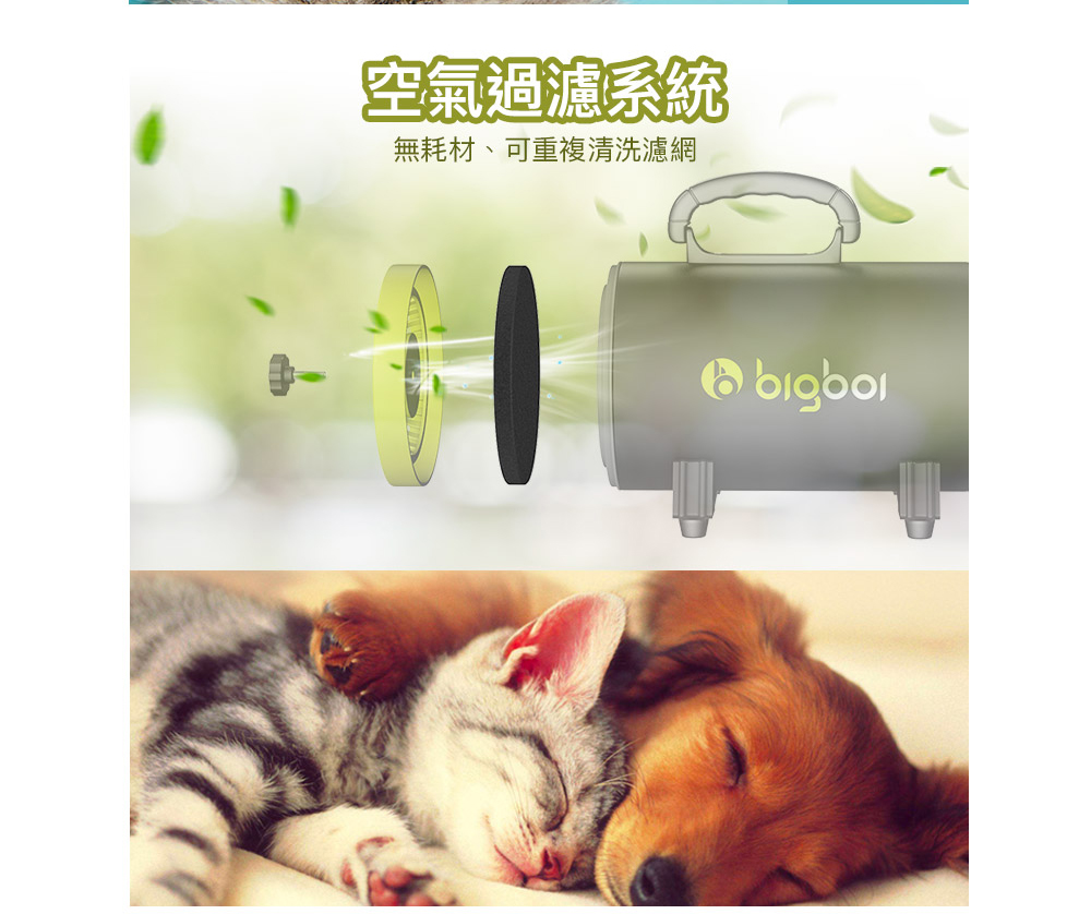 【bigboi】單馬達MINI寵物吹風機/寵物吹水機