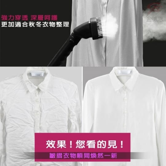 【金德恩】專業掛燙機MIT 掛燙機 燙衣機 燙衣器 蒸氣機