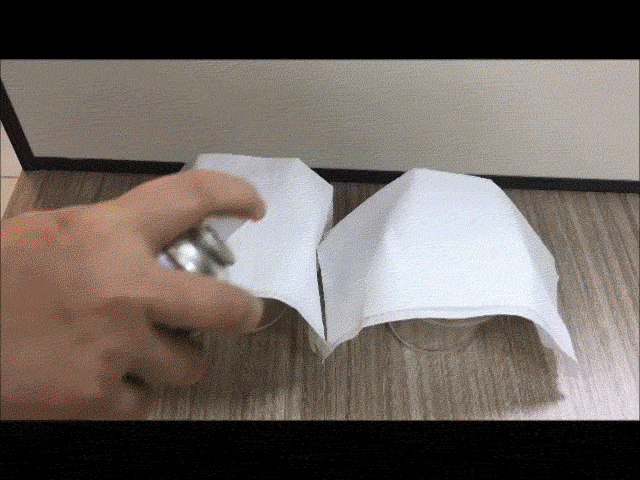 日本原裝超強皮革布料防水防污噴霧(300ml/入)