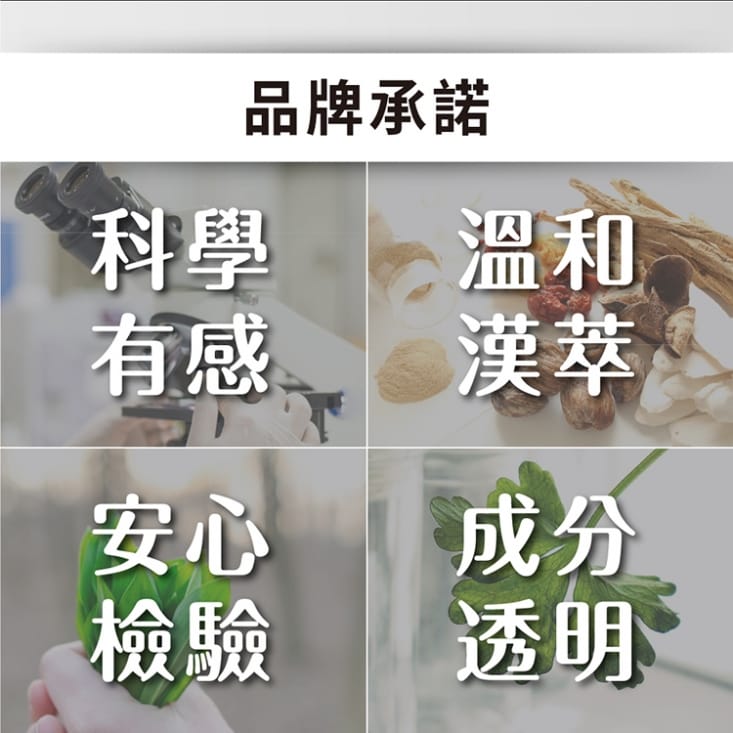 【達摩本草】專利盈法絲膠囊(30粒/包) 生髮養髮/濃密新生/男女適用