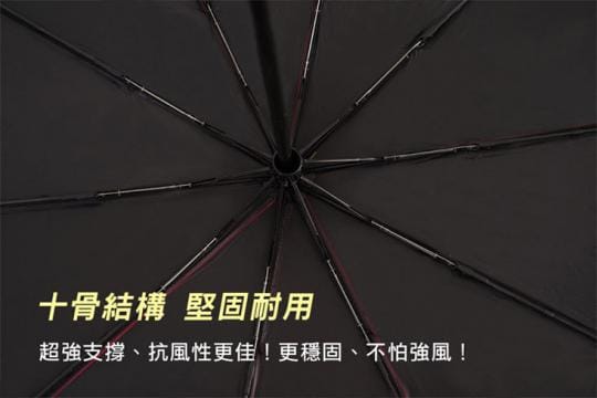 LISAN 105公分全方位自動傘