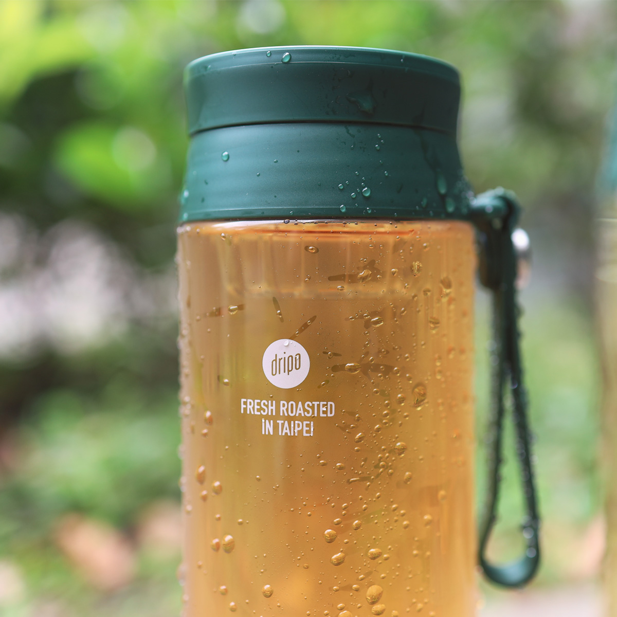 【Dripo】沢笠製茶所冷泡茶 大梔子花綠茶/紅蜜烏龍/玄米綠茶/不知春四季青