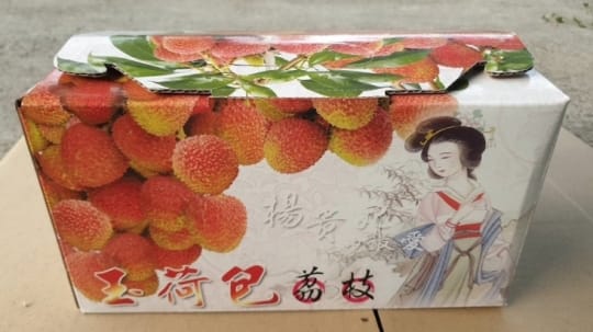 5台斤箱