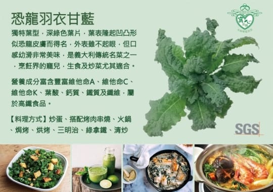 窩心菜鋪窩心菜舖水耕無毒蔬菜