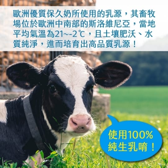 Berti歐洲優質保久牛奶
