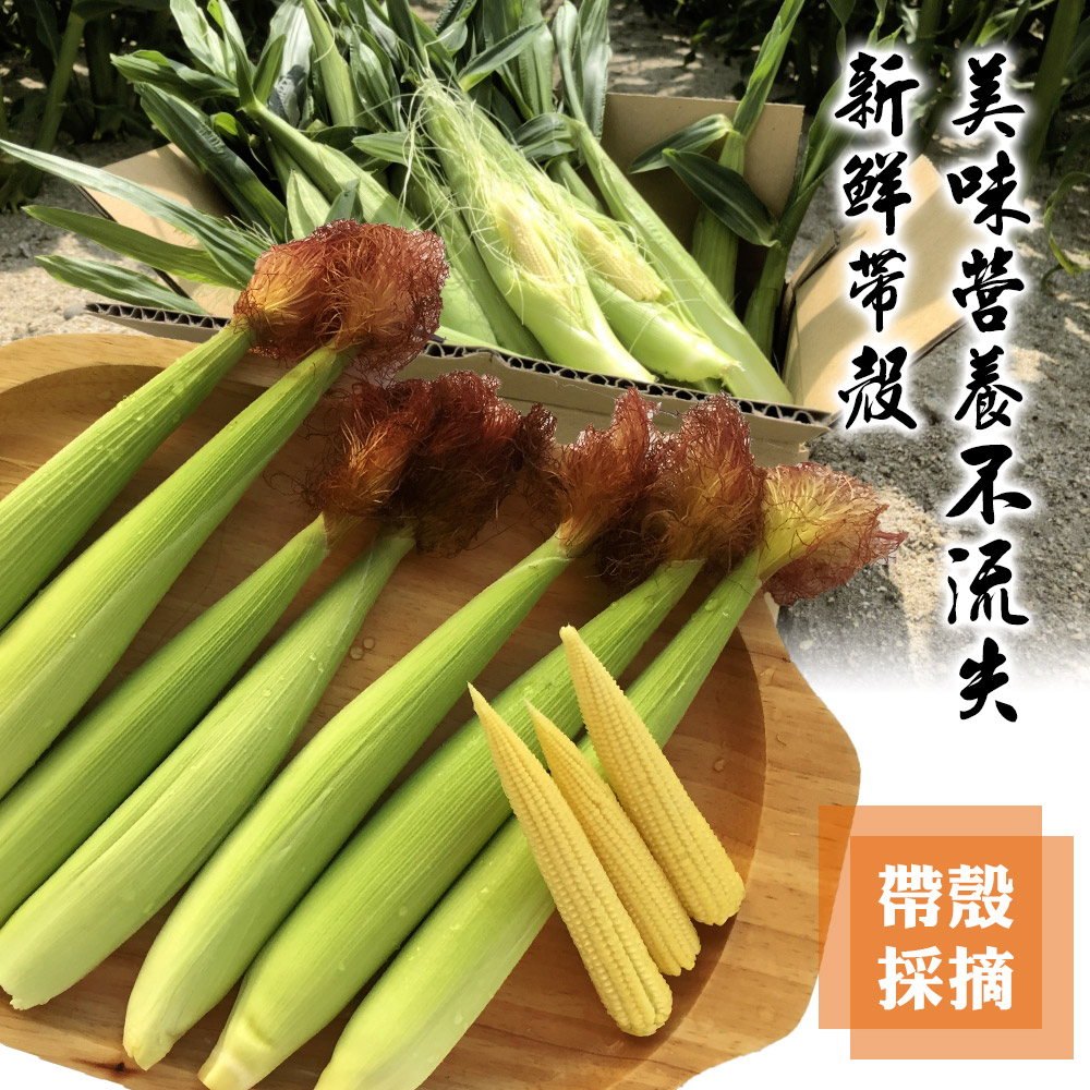 【禾鴻】新鮮自然帶殼紅鬚玉米筍 (5斤/箱)