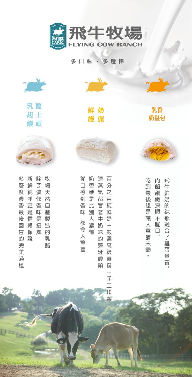 【飛牛牧場】100%純鮮奶饅頭/乳酪饅頭/小饅頭/乳香奶皇包 任選