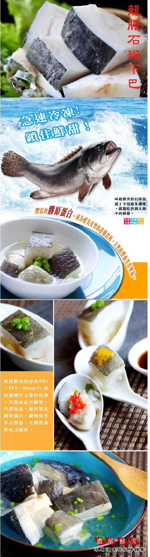 龍膽石斑 龍膽石斑