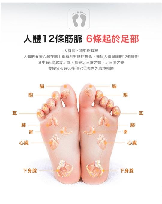 【DaoDi】升級版液晶顯示EMS足底腿部按摩器