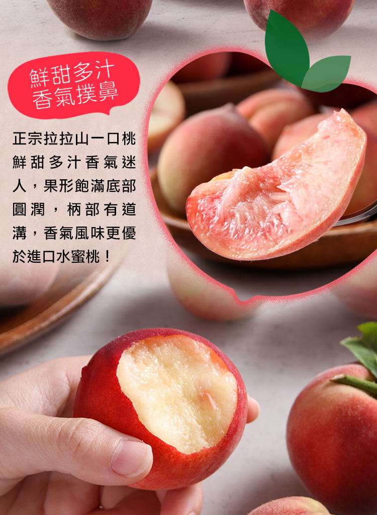 【享吃鮮果】拉拉山鮮採一口桃1.2kg 水蜜桃 拉拉山水蜜桃 桃子