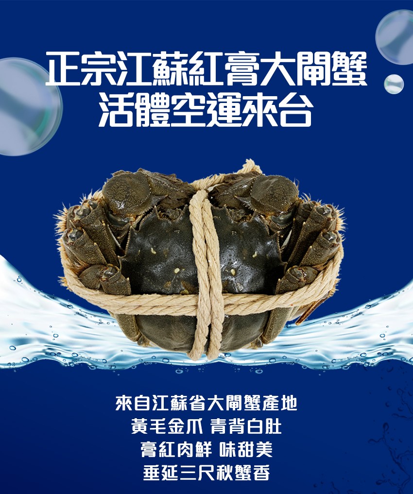 【真食材本舖・RealShop】正宗江蘇紅膏大閘蟹A級 5~5.6兩/隻