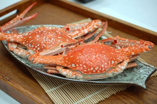 斯里蘭卡公花蟹