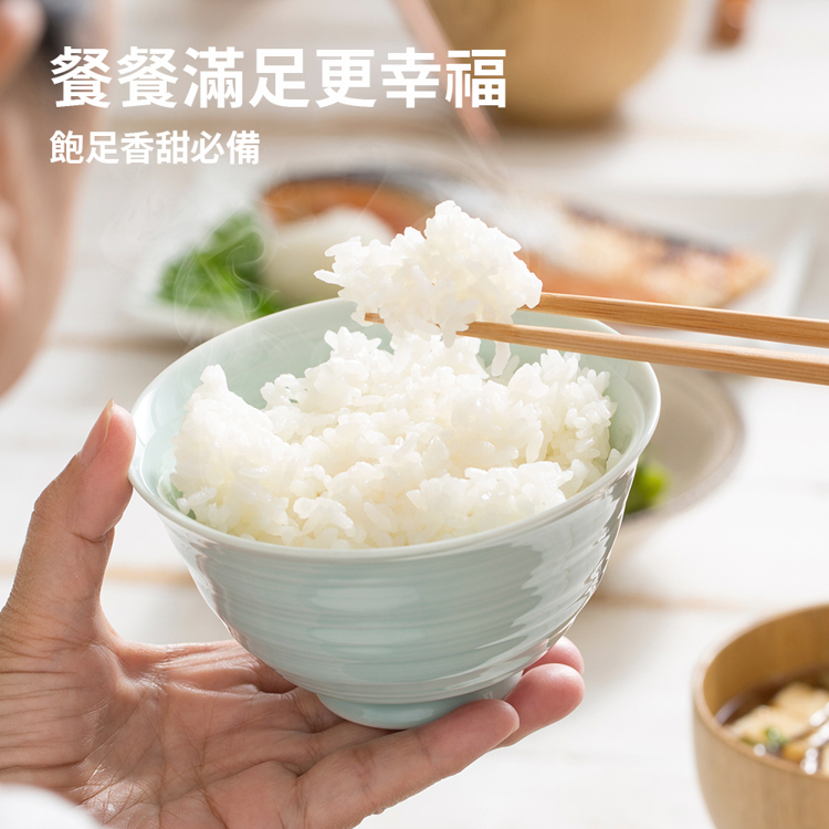 【TECO 東元】10人份電子鍋 XYFYC102