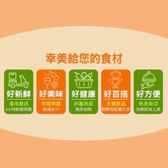 進口特級鮮凍沙棘果粒