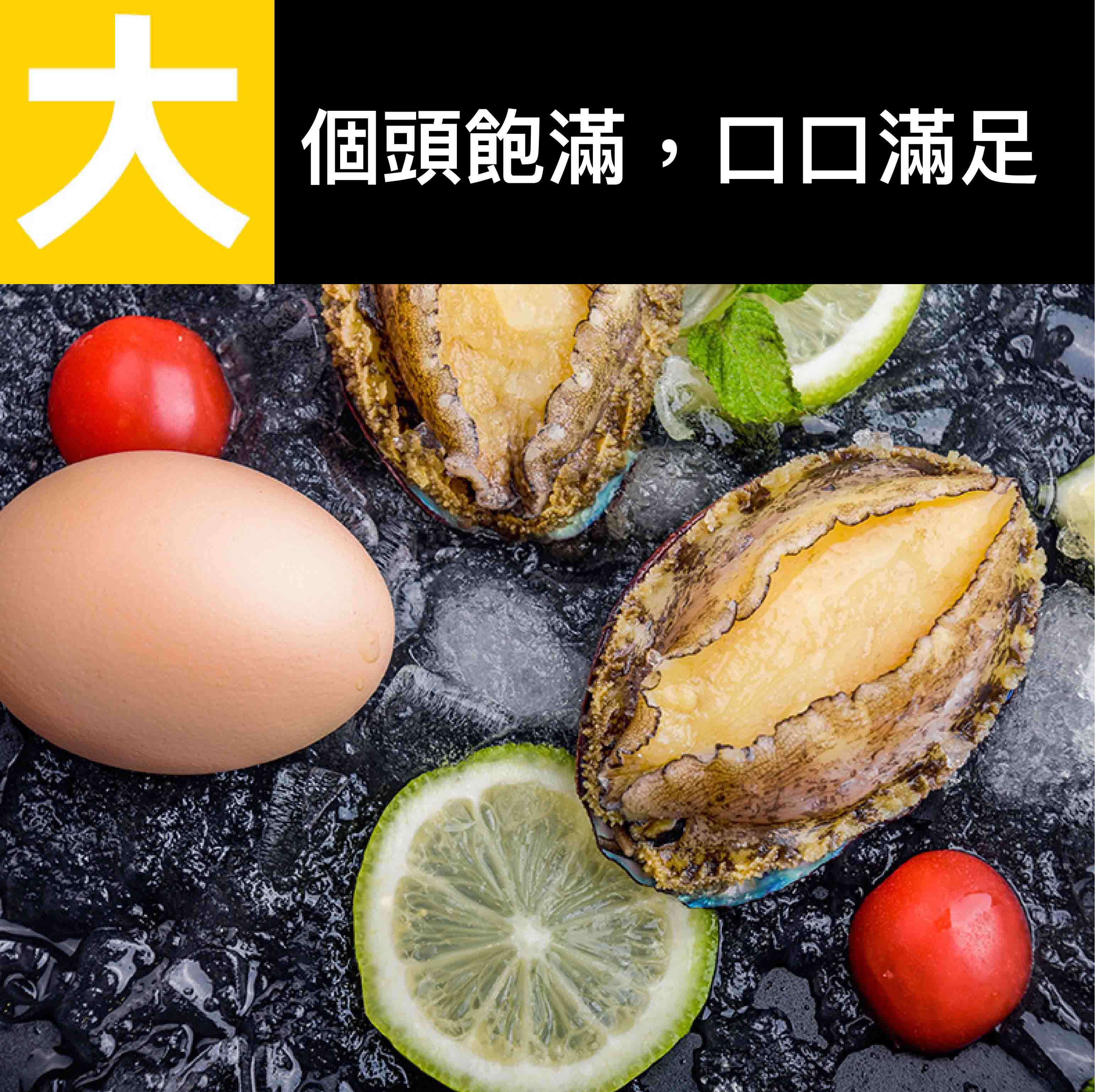 【祥鈺水產】活凍九孔鮑魚XL等級  每包20顆