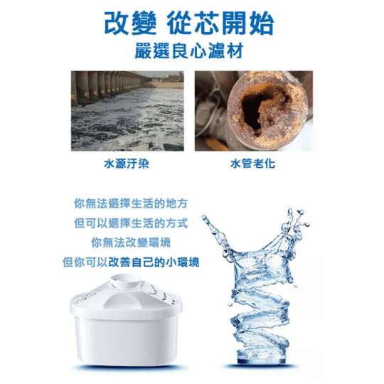 Brita通用濾芯10包(20入)組
