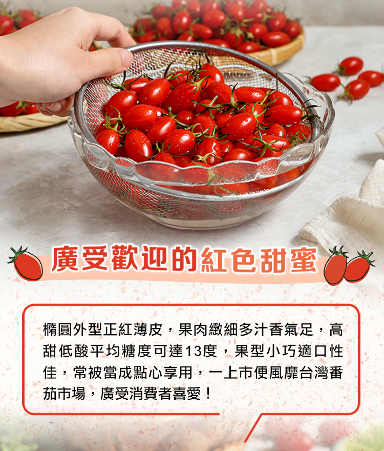 【享吃鮮果】鮮採玉女小番茄