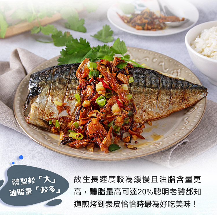 【享吃海鮮】老饕挪威薄鹽鯖魚200g 鯖魚片 鯖魚排