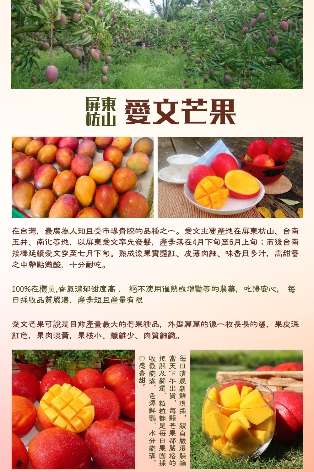 【阿成水果】屏東枋山在欉紅愛文芒果1盒20粒6kg±5%