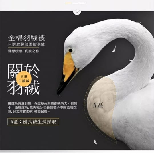 95% 天然保暖羽絨被