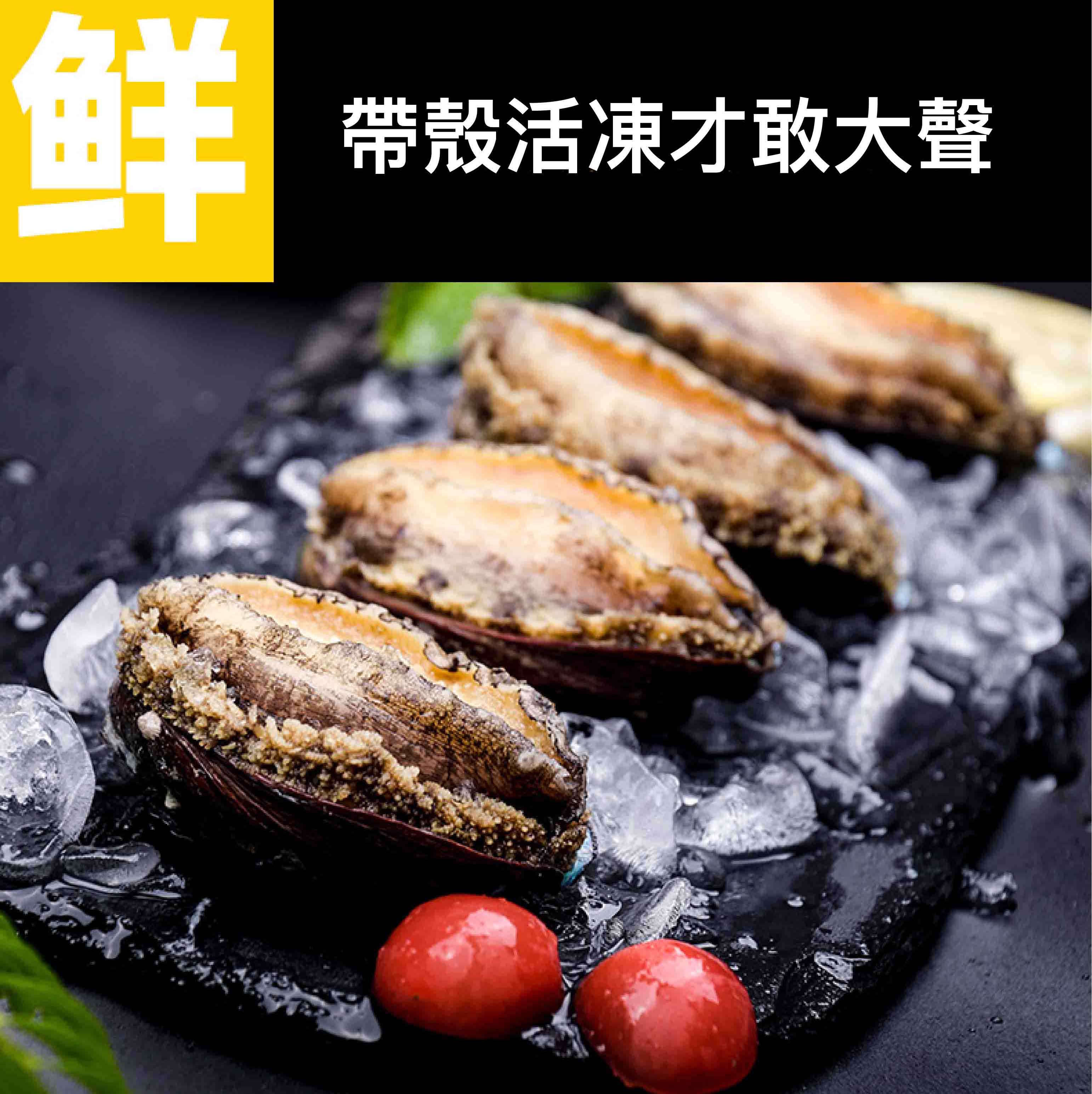【祥鈺水產】活凍九孔鮑魚XL等級  每包20顆