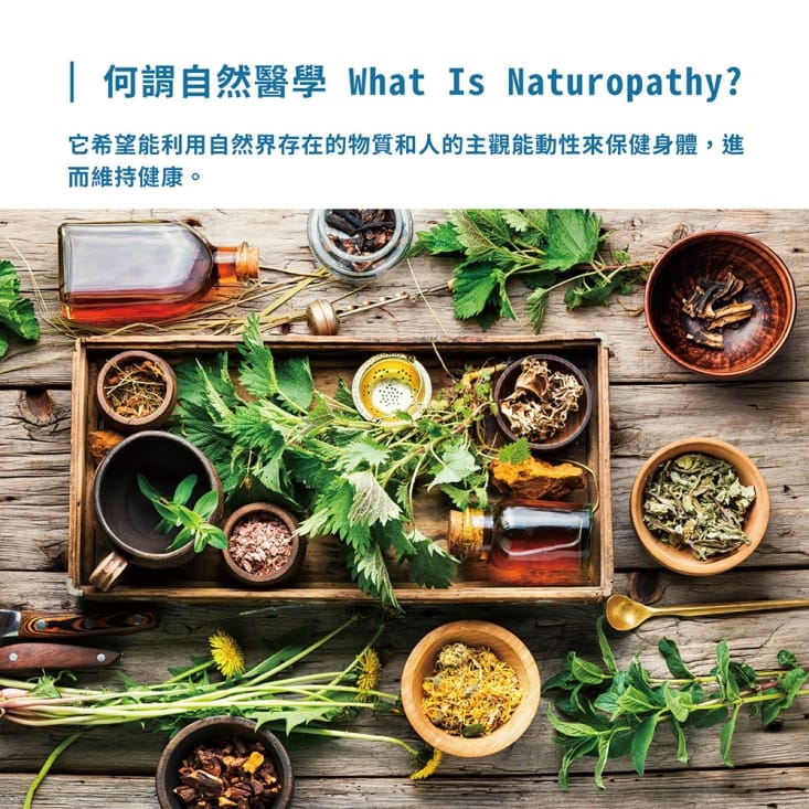 【雪莉朵辣嚴選】通通能量貼 三種任選