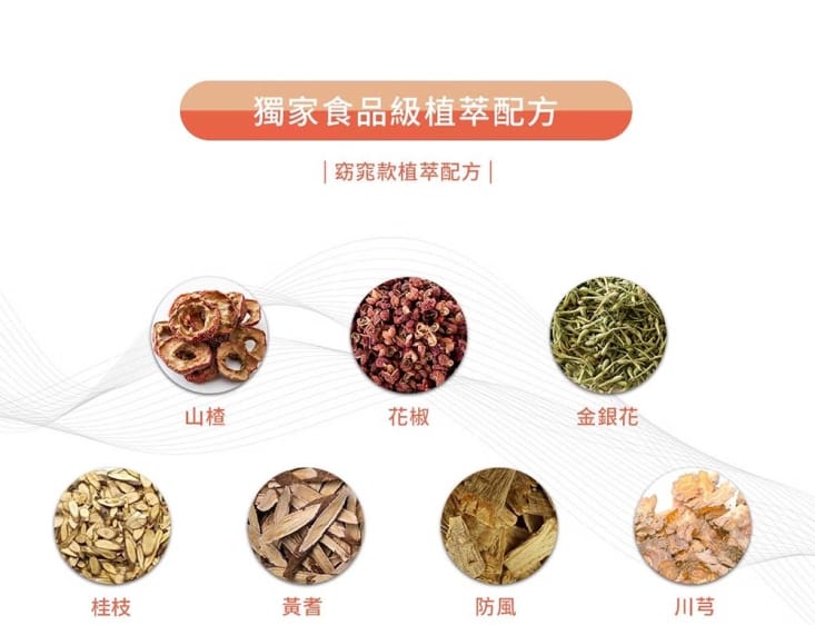 【雪莉朵辣嚴選】通通能量貼 三種任選