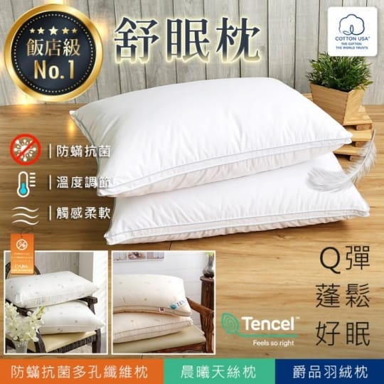 鴻宇HongYew 美國棉授權 防蹣抗菌多孔纖維枕2入