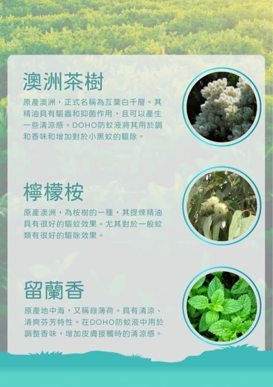DOHO 森林草本防蚊液 80ml