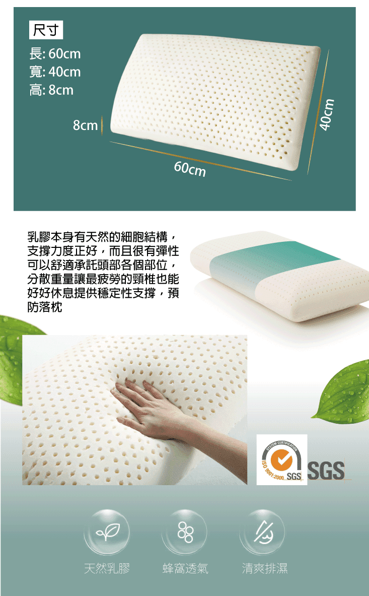 【Ceylon】斯里蘭卡平面型乳膠枕(8cm/1入)