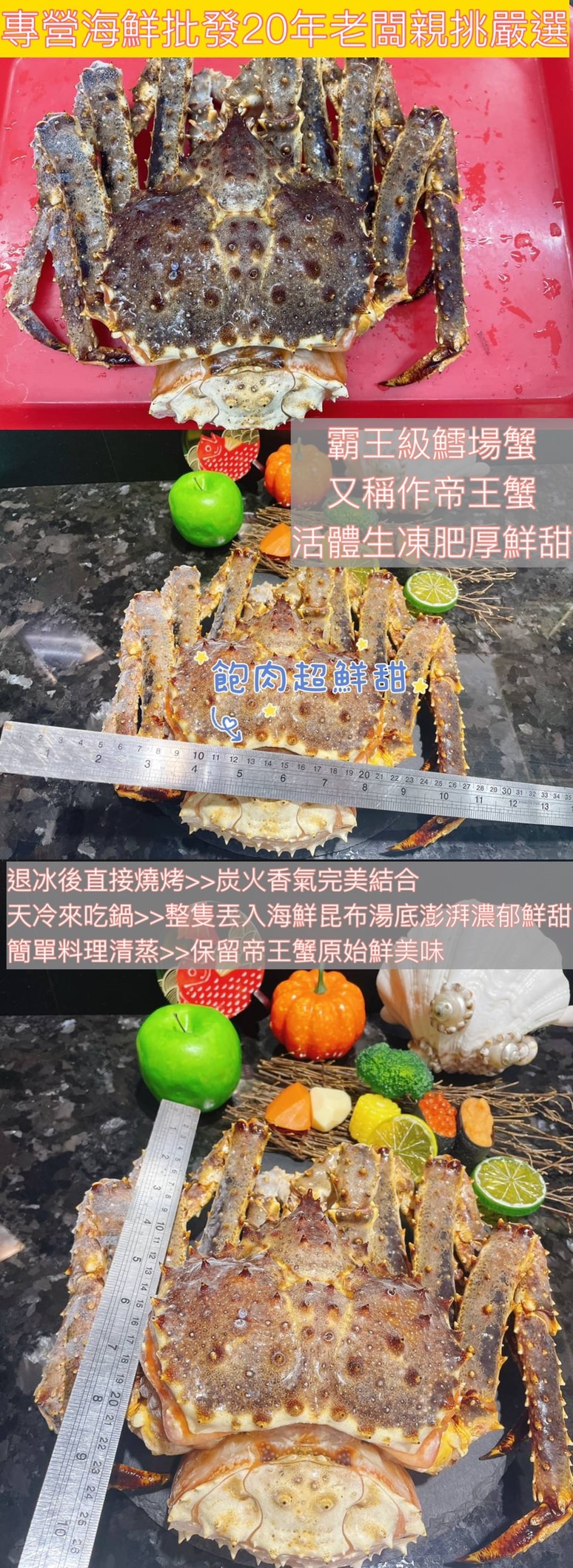 【鮮到貨】超巨奢華活凍日本鱈場蟹2200~2300克/隻