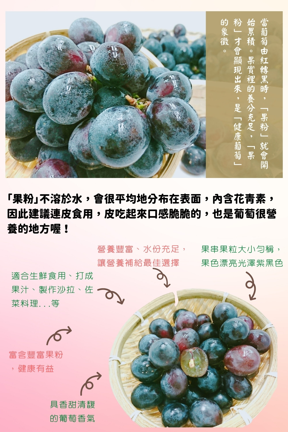 【阿成水果】彰化大村巨峰葡萄2.5kg 紫葡萄 葡萄禮盒 水果禮盒